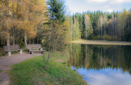 Erzgebirgsidyll Breitenbrunn Ferienwohnung - Foto 54