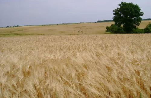 Landhaus Strietfeld-Ferienwohnung 1 - Foto 17