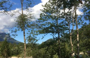 Casa a schiera fronte lago con giardino - Foto 36