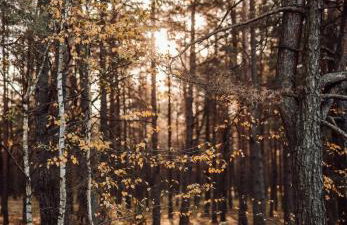 W Południe Lata - Foto 8