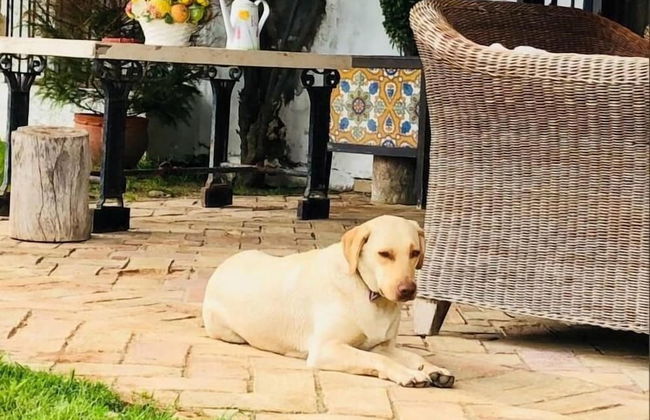 Hacienda La Indiana - Foto 39