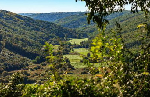 Villa Gigi - Photo 23