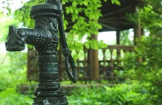 Leśny kasztel pod sosnami. Pokój w koronach drzew. - Foto 25