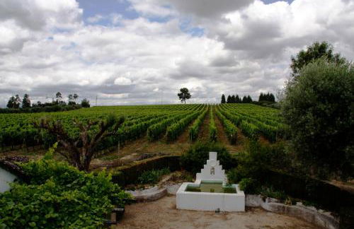 Quinta da Fata - Foto 40