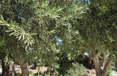 SK Villa SANTORINI - Foto 16