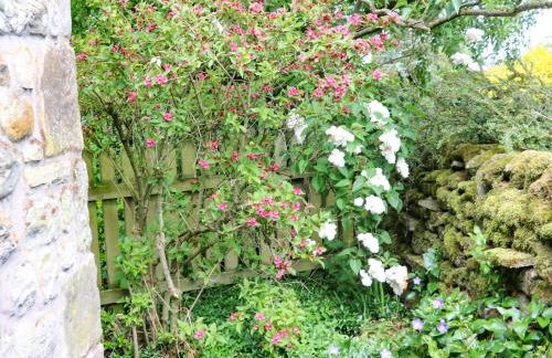 Smithy Cottage - Foto 34