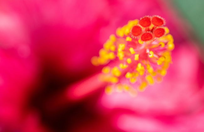 Residencial El Llano - Foto 28