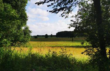 Leśne Domki Wejsuny - Foto 36