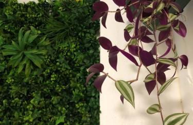 NatureHouse - Foto 18