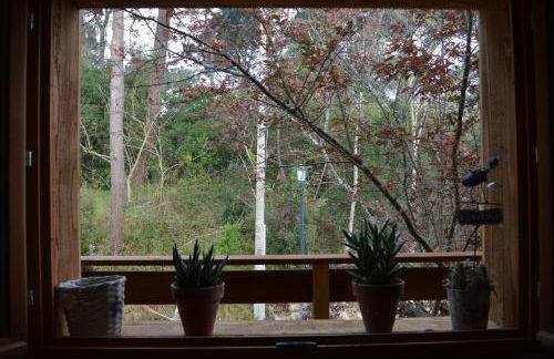 La cabane du Truquet - Foto 2