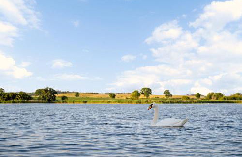 GUT KLETKAMP "Finkenhaus" - Idyllisch freistehendes Landhaus mit 3 Schlafzimmern und fantastischem Ausblick I 8 Personen I Offener Kamin I Garten I Wintergarten I Große Terrasse I Ruhig am Waldrand I Parkplätze I WLAN - Foto 33