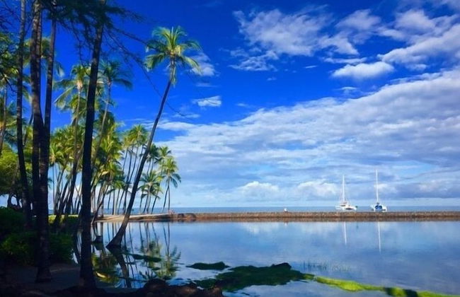 Waikoloa Beach S O2 2 Bedroom Condo by RedAwning - Photo 27