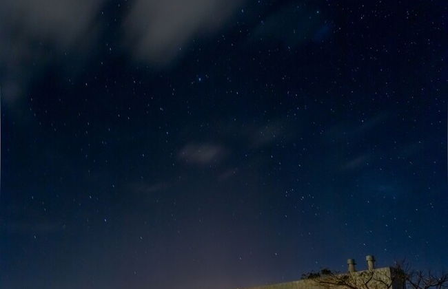 La Picarona - Foto 47