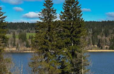 L'écrin du Lac St-Point - Foto 9