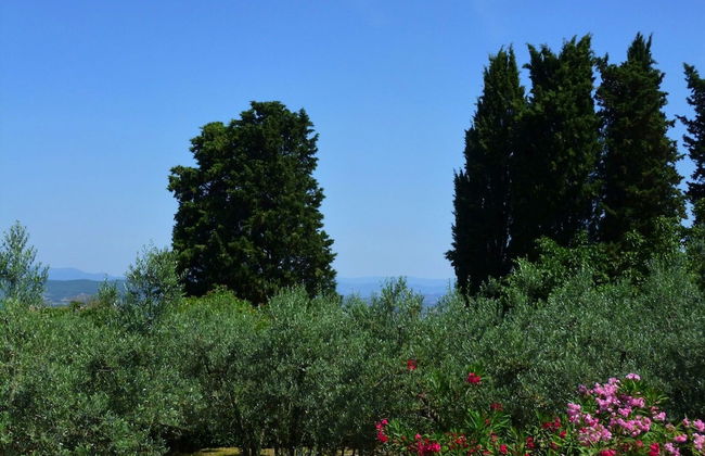 Lovely Estate not far From Florence With Olives Trees - Foto 76