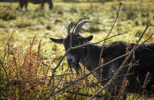 Uroczysko Deresze - Foto 77