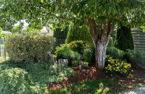 Villa Vranici - Foto 20