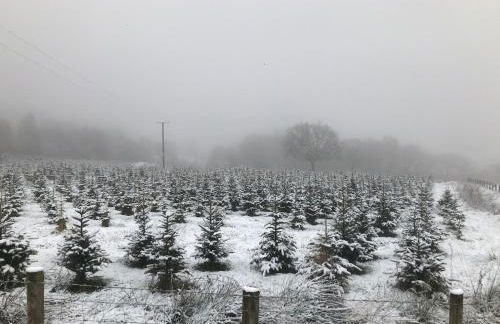 Detached cottage in the hills near Dolgellau - Foto 10