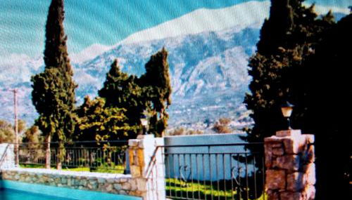 Petrochori ApartHotel - Foto 4, Garden view