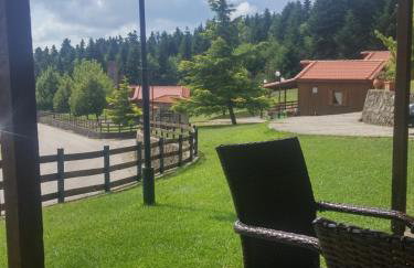 Livadaki Village - Δασικό Χωριό Λιβαδάκι - Foto 71