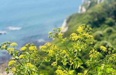 Escape Pod in Devon, 5 mins from beach + parking - Foto 15