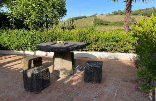 Villa das Vinhas - Photo 12