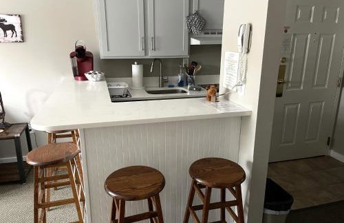 Ski On Off 1BR Suite 1st Flr Sleeps 4 Jiminy Peak - Foto 6