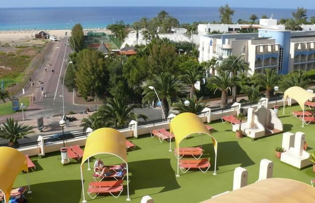 Palm Garden Apartments - Photo 31