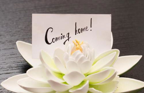 Art & Nature Apartments in der Nähe FFM-Messe - Foto 44