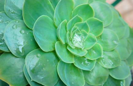 Casa da Igreja by Gerês Casas - Foto 21