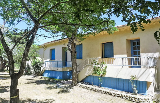 Les Vendanges - Foto 28