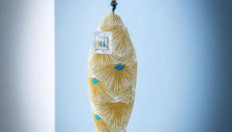 La vie en Rose - Photo 2