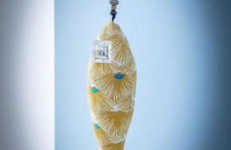 La vie en Rose - Photo 2