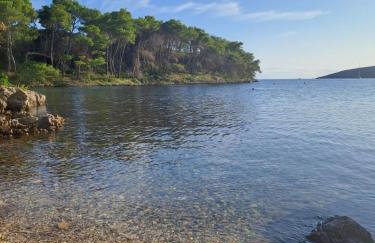 Apartmani Mirko A1 - Photo 19