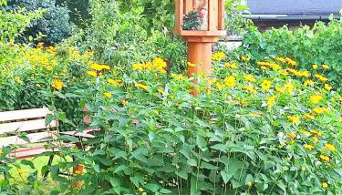 Sielsko-Anielsko centrum - Foto 2