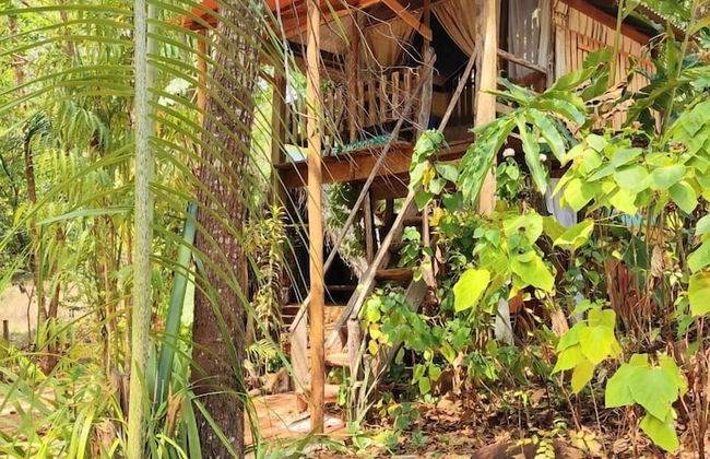 Pousada Pouso das Araras - Foto 22