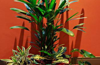 Apartamento completo e acolhedor, Santos - Foto 34