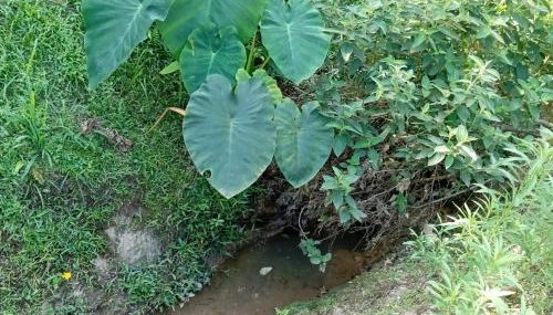 MICRO CASA DE SITIO DO TIO Tonho - Foto 2