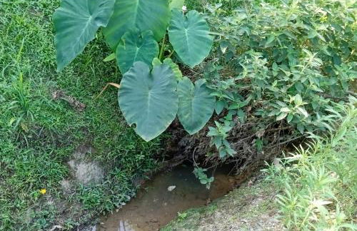 MICRO CASA DE SITIO DO TIO Tonho - Foto 2