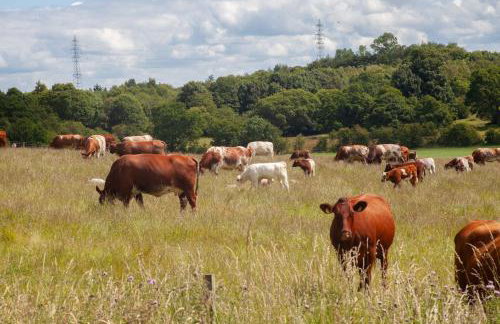 Stunning 4 Bedroom Farmhouse - Foto 43