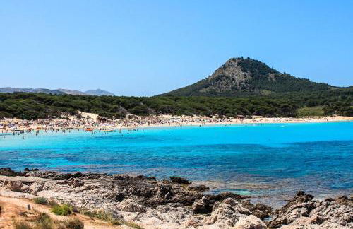 Drac Blanc 1-4 - Photo 24