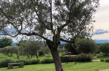 Agriturismo La Posta Reale - Foto 19