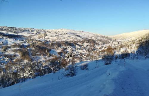 Gîtes de Moyenmont - Foto 38