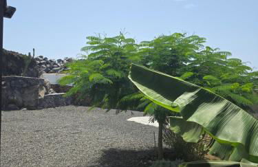 La casita del fin del mundo en La Palma - Foto 10