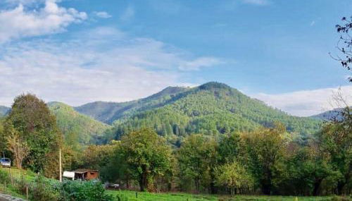 Le Gîte - La Ferme du Pouget - Foto 5
