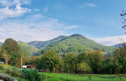 Le Gîte - La Ferme du Pouget - Foto 5