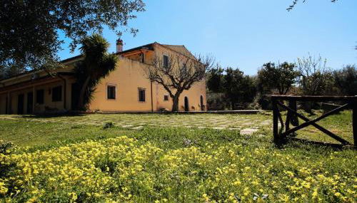 Masseria Procacci - Foto 4, Garden