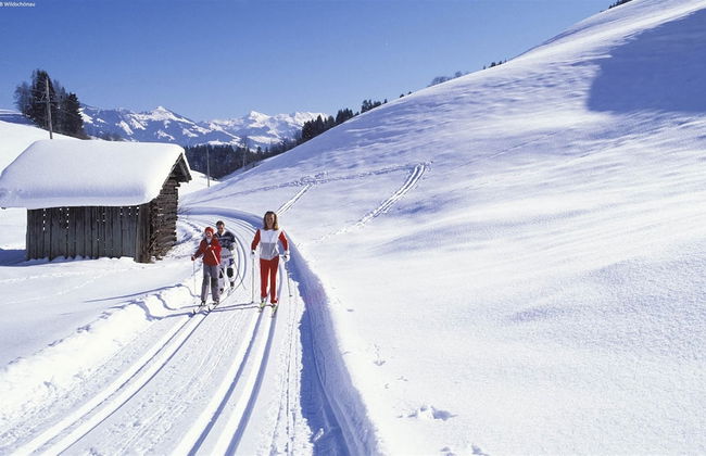 Chalet in Angerberg Near Skiwelt Slopes - Photo 46