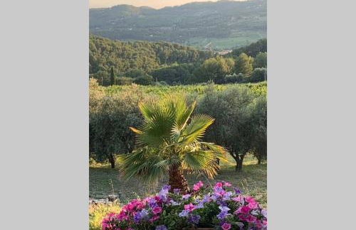 La Venturonne Appartement neuf Rez de jardin 45 m2 vue mer et vignes 10 mn des plages - Foto 15