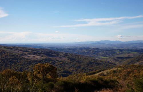 Fattoria La Pieve - Foto 14